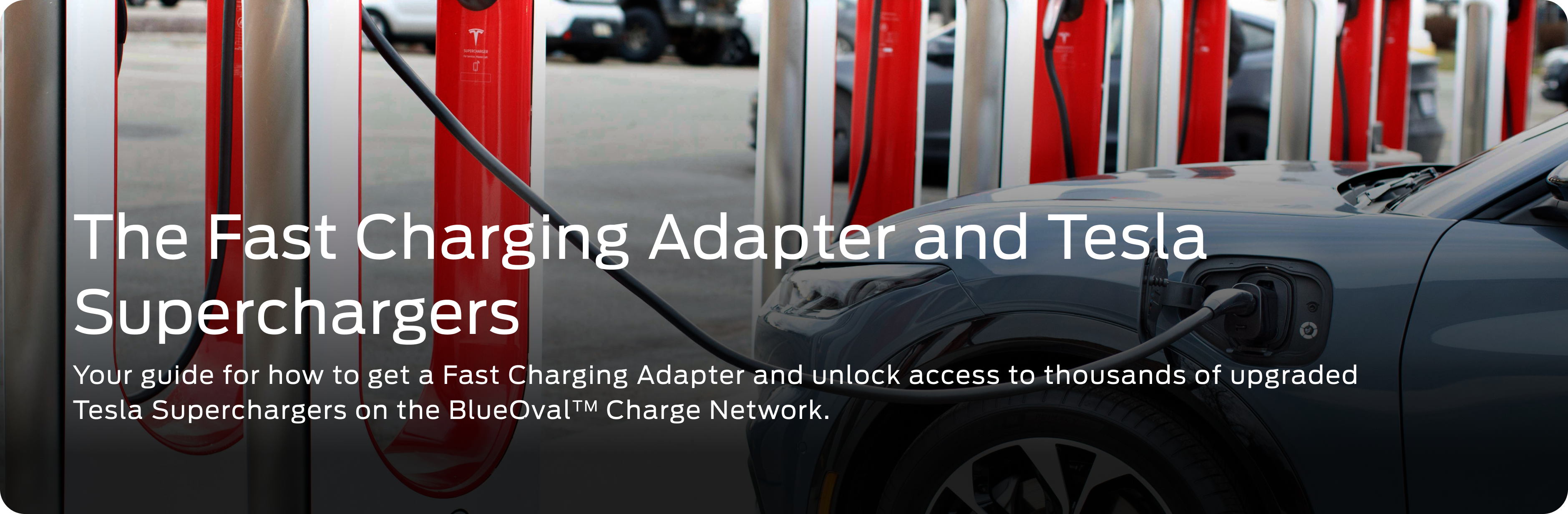 Mustang Mach-E plugged into Tesla Supercharger using a Fast Charging Adapter