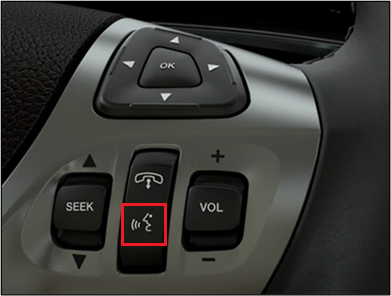 Voice control button shown on steering wheel