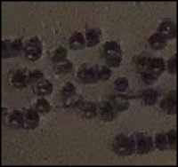 7d45dbea-98c6-426d-a25e-91325e6df4fb.png