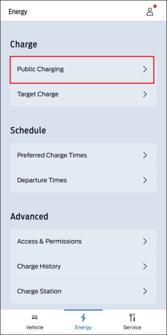The FordPass App Energy screen. A red box surrounds the Public Charging option.